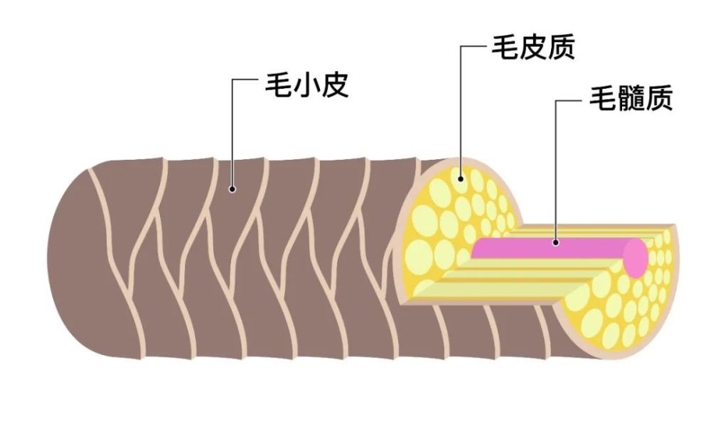 头发自然干和吹干谁更好？原来我们都搞错了，难怪头油还脱发！(图1)