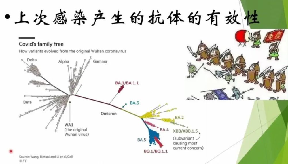 新冠“二阳”高峰将何时到来？要不要打疫苗？需要准备什么药物？(图8)