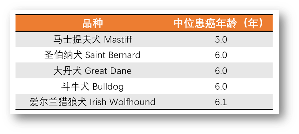 狗狗患癌风险排行榜最新出炉，看看你家毛孩子排第几？(图3)